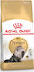 Royal Canin Persian Dry Food for Adult Cats with Poultry 4kg