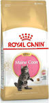 Royal Canin Maine Coon Kitten Ξηρά Τροφή για Ανήλικες Γάτες με Ρύζι / Πουλερικά 0.4kg