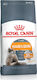 Royal Canin Hair & Skin Care Dry Food for Adult Cats with Poultry 0.4kg