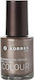 Korres Colour Metallic Βερνίκι Νυχιών 061 Metal...