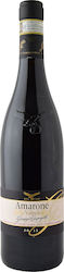 Giuseppe Campagnola Amarone Della Valpolicella Classico Consorzio Red Dry 750ml