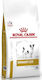 Royal Canin Veterinary Urinary S/O Small Dogs 1.5kg Hrană Uscată pentru Câini Adulţi de Rase Mici cu Pui și Orez