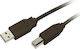 MediaRange USB 2.0 Cable USB-A male - USB-B male 3m (MRCS103)