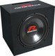 Renegade Car Audio Subwoofer Αυτοκινήτου 12" 300W RMS με Κούτα