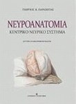 Νευροανατομία, Κεντρικό νευρικό σύστημα