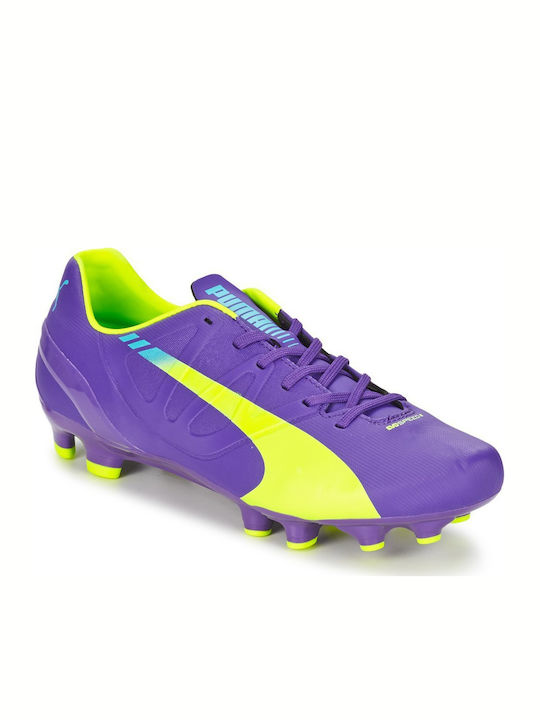 Puma evospeed 2024 5.3 fg