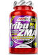 Amix ZMA με Βιταμίνη B6 90 ταμπλέτες