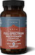 TerraNova Full-Spectrum Multivitamin Complex Multivitamin for Energy 450mg 50 veg. caps