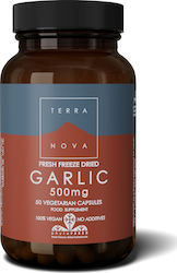 TerraNova Garlic 500mg 50 ταμπλέτες