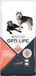 Versele Laga Opti Life Skin Care Medium & Maxi 12.5kg Ξηρά Τροφή χωρίς Σιτηρά & Γλουτένη για Ενήλικους Σκύλους Μεσαίων & Μεγαλόσωμων Φυλών με Ρύζι και Σολομό