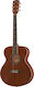 Harley Benton Akustisch Gitarre CG-45 Natürlicher Satin