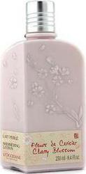 L'Occitane Cherry Blossom Moisturizing Lotion 250ml