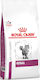 Royal Canin Veterinary Diet Renal Feline Cat Dry Food with Corn / Rice 2kg