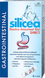 Hubner Silicea Gastro-Intestinal Gel DIRECT 6x15ml