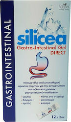 Hubner Silicea Gastro Intestinal Gel 12 x 15ml