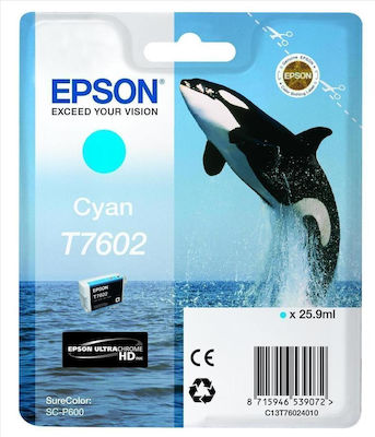 Epson T7602 Cerneală pentru imprimantă InkJet Cyan (C13T76024010)