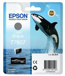 Epson T7607 Inkjet Printer Cartridge Gray (C13T76074010)