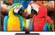 Thomson Умна Телевизия 55" Пълна HD 55FZ4633 HDR