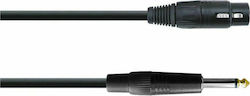 Audio Master GA202/10M XLR female - 6.3mm male 10m