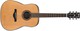 Ibanez Acoustic Guitar AW250 Natural