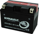 Dynavolt 11.2Ah ( DTZ12-BS-C )