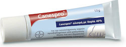 Bayer Canespro Creme für Nagelpilz Onychomykose Behandlungsset mit Harnstoff 10gr