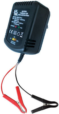 Minwa Car Battery Charger 2/6/12V