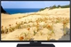 Panasonic Televizor inteligent 40" Full HD TX-40C300 HDR (2015)