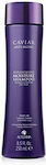 Alterna Caviar Anti-Aging Replenishing Moisture Shampoo 250ml