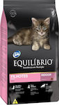 Equilibrio Kitten Indoor Trockenfutter für junge Katzen mit Huhn 7.5kg