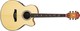 Ibanez Acoustic Guitar AEL40SE Cutaway Natural