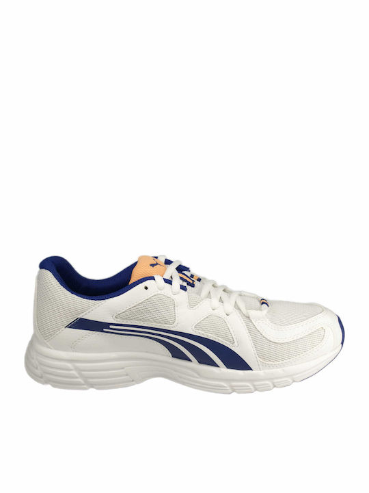 Puma Γυναικεία Αθλητικά Παπούτσια Running Λευκά | Skroutz.gr