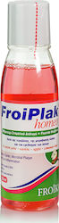 Froika Froiplak Homeo Apple-Cinnamon 250ml