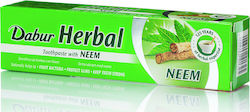 Dabur Herbal Toothpaste Neem Toothpaste 100ml Dabur Herbal Toothpaste Neem Toothpaste 100ml