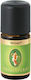 Primavera Organic Essential Oil Vetiver 5ml