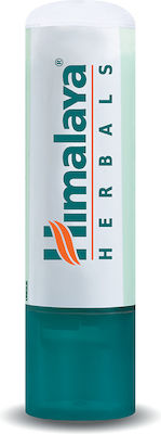 Himalaya Wellness Lippen Balsam 4.5gr