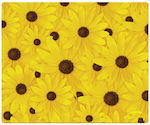 SpeedLink Mouse Pad Yellow 230mm Pangea Nature Motif Sunflowers