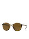 Ray Ban Light-Ray Round Sunglasses with Brown Tartaruga Acetate Frame RB4242 710/73