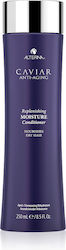 Alterna Caviar Anti-Aging Replenishing Moisture 250ml Alterna Caviar Anti-Aging Replenishing Moisture 250ml