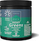 TerraNova Child Sneaky Greens Super Shake Multivitamin für Energie, Stärkung des Immunsystems & Antioxidative Wirkung 180gr