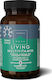 TerraNova Green Child Living Multivitamin Multivitamin for Energy & Immune System Boost 330mg 50 veg. caps