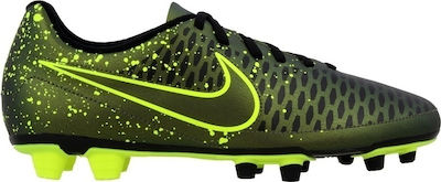 magista ola fg