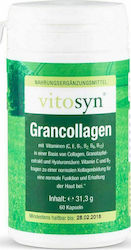 Metapharm Vitosyn Grancollagen 60 Kapseln