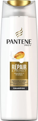 Pantene Pro-V Repair & Protect Shampoos Wiederaufbau/Ernährung für Beschädigt Haare 1x360ml