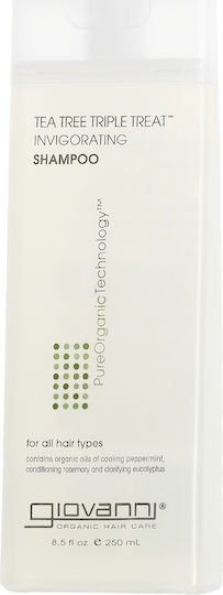 Giovanni Tea Tree Triple Treat Invigorating Shampoos against Dandruff for Dry Hair Hair 250ml