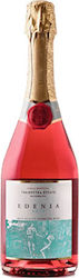 Tsililis Organic Edenia Rosé Dry Sparkling 750ml Tsililis Organic Edenia Rosé Dry Sparkling 750ml