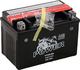 Power Batteries Baterie Motocicleta YTX9-BS 135A cu Capacitatea 8Ah