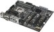 Asus P10S WS
