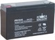 Power Kingdom PS12-6 Baterie UPS cu Capacitate 12Ah și Tensiune 6V 1buc