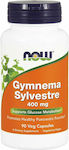 Now Foods Gymnema Sylvestre 400mg 90 φυτικές κάψουλες